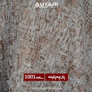 1001